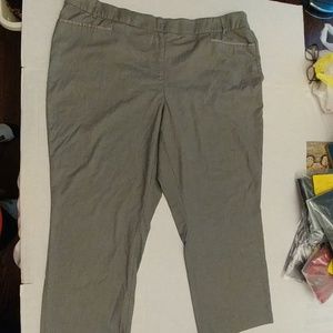 Lane Bryant The Allie Dress Pants